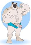  anthro belly big_belly bulge canine clothed clothing dog humanoid_penis kazushi male mammal muscular muscular_male pecs penis pubes pug smile solo standing topless 