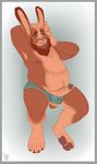  2018 anthro beard belly big_belly blush briefs clothing digital_media_(artwork) electroporn erection facial_hair fur hair hi_res humanoid_penis lagomorph male mammal nipples open_mouth overweight penis pinup pose precum rabbit simple_background slightly_chubby smile solo stomach thick_thighs underwear 