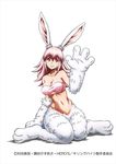  animal_humanoid big_breasts breasts cleavage clothed clothing female fur hair humanoid killing_bites kneeling lagomorph liden_films_(copyright) long_hair mammal navel offical_art pink_hair rabbit_humanoid red_eyes simple_background solo tube_top ui_inaba white_background white_fur 