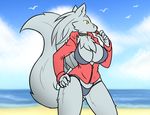  anthro avian beach big_breasts bikini bird breasts canine chest_tuft clothing collar female hoodie mammal muscular muscular_female outside rakkuguy scar seagull seaside solo swimsuit tuft velvela wolf yellow_eyes 