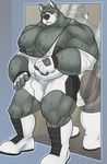  anthro boots bulge canine clothing dog footwear great_dane gym_clothing hound_(character) kazushi looking_at_viewer male mammal mirror muscular muscular_male pecs smile solo standing sweat tight_clothing wrestling_singlet 
