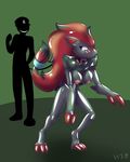  ambiguous_gender duo female female_focus goo helixjack invalid_tag nintendo pok&eacute;mon pok&eacute;mon_(species) rubber solo_focus video_games zoroark 