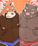  2018 ailurid anthro belly blush boar bulge clothing duo humanoid_hands kota&acute; male mammal moobs navel nipples overweight overweight_male porcine red_panda simple_background tongue tongue_out underwear 