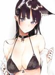  absurdres animal_ears bangs bare_shoulders bikini bikini_top black_bikini black_bikini_top black_hair blunt_bangs breasts choker cleavage collarbone cropped eyebrows_visible_through_hair fingernails front-tie_bikini front-tie_top highres looking_at_viewer medium_breasts original purple_eyes scan shiny shiny_hair shunsei_(muratou) simple_background solo sweatdrop swimsuit torii upper_body 
