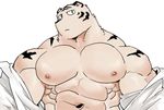  2018 abs anthro biceps big_muscles clothed clothing digital_media_(artwork) feline fur hi_res kemono male mammal muscular muscular_male open_shirt simple_background syukapong tiger white_tiger 