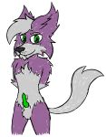  canid canine colby_fox_kat colby_fox_kat_(artist) erection felid feline fennec fox fur hybrid lynx male mammal nude penis presenting purple_fur smile solo 