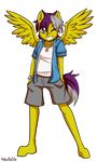  2018 alpha_channel anibaruthecat anthro clothed clothing equine fan_character hair looking_at_viewer male mammal multicolored_hair my_little_pony one_eye_closed pegasus shorts simple_background solo transparent_background two_tone_hair wings 