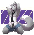  2017 anthro athletic black_nose black_penis blue_eyes bulge canine clothed clothing erection fur gavin_(tokifuji) grey_fur hi_res humanoid_penis kneeling male mammal munks_(artist) necktie penis poking_out precum seductive shirt shorts smile solo thick_thighs white_fur wolf 