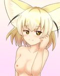  animal_ears bad_id bad_pixiv_id breasts commentary eyebrows_visible_through_hair fennec_(kemono_friends) fox_ears highres kemono_friends medium_breasts multicolored_hair nipples nude shiraha_maru short_hair smile underwear 