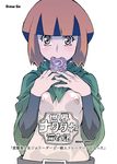  gardenia nintendo pokemon tagme 