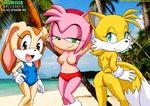  amy_rose bbmbbf cream_the_rabbit palcomix rule_63 sega sonic_team tails 
