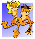  coco_bandicoot crash_bandicoot tagme 