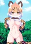  animal_ears blonde_hair blush bottomless bow bowtie breasts closed_mouth commentary_request cowboy_shot day embarrassed eyebrows_visible_through_hair fur_collar gloves groin hands_up highres jaguar_(kemono_friends) jaguar_ears jaguar_print jaguar_tail kemono_friends lifted_by_self looking_at_viewer medium_breasts multicolored multicolored_clothes multicolored_hair multicolored_legwear navel nipples no_bra outdoors print_gloves print_legwear quatre_aaaa shirt shirt_lift short_hair solo standing stomach tail thighhighs toned wavy_mouth white_hair yellow_eyes 
