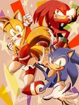  anthro canine clothing echidna fox group hedgehog knuckles_the_echidna male mammal miles_prower monotreme okami_(artist) sonic_(series) sonic_the_hedgehog video_games 