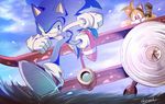  aircraft airplane anthro black_nose blue_eyes canine clothing duo fox gloves green_eyes hedgehog hi_res male mammal miles_prower okami_(artist) signature sonic_(series) sonic_the_hedgehog video_games water 