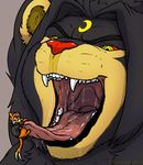  alternate_color ambiguous_gender anthro anthrofied buizel clothing dangling drooling duo fan_character feline feral hair kuroodod kuroodod_(fursona) luxray mammal micro mustelid nintendo oral_vore peril pok&eacute;mon pok&eacute;mon_(species) saliva simple_background size_difference teeth tongue tongue_out video_games vore 