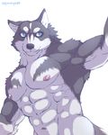  2018 abs anthro biceps canine digital_media_(artwork) fur kemono male mammal multicolored_fur muscular muscular_male nipples pecs sakuhuu wolf 