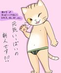  blush cat clothed clothing feline male mammal tapio_chatarozawa topless underwear working_buddies! ばうる_(artist) 