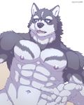  2017 abs anthro biceps blue_eyes canine digital_media_(artwork) fur kemono male mammal multicolored_fur muscular muscular_male nipples pecs sakuhuu wolf 