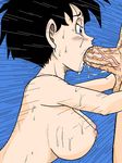  1boy 1girl artist_request breasts dragon_ball dragonball_z fellatio nipples nude penis son_gohan videl 