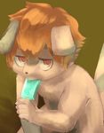  5_fingers anthro brown_eyes brown_fur brown_hair canine cub dog food fur hair male mammal nude ontsuna popsicle simple_background young 