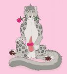  2018 balls bow brown_nose cute digi_(character) digitoxici feline flower fur grey_fur grey_hair hair holidays leopard male mammal penis pink_background plant rose seductive simple_background sitting smile snow_leopard valentine&#039;s_day yellow_eyes 