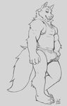  anthro bulge canine clothed clothing julicat looking_at_viewer male mammal monochrome muscular muscular_male shirt smile solo standing tank_top underwear 