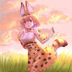  2804281484 :o animal_ears bad_id bad_pixiv_id bare_shoulders belt bow bowtie cloud commentary elbow_gloves evening extra_ears eyebrows_visible_through_hair eyes_visible_through_hair gloves grass high-waist_skirt highres kemono_friends looking_at_viewer orange_eyes outdoors print_gloves print_neckwear print_skirt serval_(kemono_friends) serval_ears serval_print serval_tail shirt skirt sleeveless sleeveless_shirt solo tail white_shirt 
