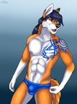  2018 5_fingers abs alty anthro athletic black_hair black_nose blue_background blue_hair bulge canine cinta clothing fox fur gloves_(marking) hair looking_at_viewer male mammal markings multicolored_fur multicolored_hair muscular nipples orange_fur ponytail simple_background solo tattoo tribal_tattoo two_tone_fur two_tone_hair underwear white_fur yellow_eyes 