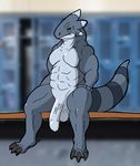  2017 4_fingers anthro balls claws countershade_face countershade_torso countershading digital_media_(artwork) feet flaccid foreskin green_eyes half-closed_eyes humanoid_penis male muscular nude penis riilu riilu_(character) ringed_tail scalie sitting solo thick_tail 