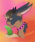  animal_genitalia anthro colorful curly_hair fellatio genital_slit hair hair_bun invalid_background invalid_tag kalikobold kobold lagomorph licking male male/male mammal oral precum rabbit scalie sex slit tongue tongue_out 