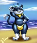  beach cat clothing feline male mammal morgana_(persona) persona_5 seaside slightly_chubby sonnyfox thong 