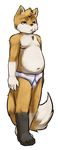  anthro aogami blue_eyes briefs brown_fur bulge canine clothing cub fox fur hi_res male mammal navel nipples orange_fur simple_background slightly_chubby solo standing teenager underwear white_fur young 