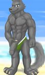  abs anthro clothed clothing erection fur humanoid_penis male muscular muscular_male pecs penis simple_background sirbossy1 smile solo speedo standing swimsuit topless underwear vein veiny_penis 