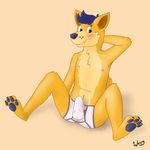  anthro blush canine clothing dingo erection fur male mammal nipples paws underwear waxxy 
