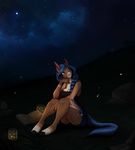  2018 anthro blue_eyes blue_hair book braided_hair breasts constellation digital_media_(artwork) equine female firefly hair hooves horse mammal night outside robyn_paperdoll sitting sky smile solo star starry_sky 