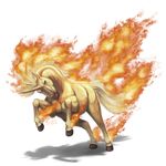  brown_eyes commentary fiery_hair fiery_tail fire full_body gen_1_pokemon horn looking_at_viewer no_humans pokemon pokemon_(creature) rapidash realistic shadeofshinon signature solo tail transparent_background unicorn 