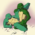  michelangelo raphael rockgaara tagme teenage_mutant_hero_turtles 
