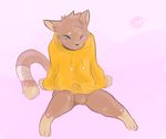  anthro bandage blue_eyes blush bottomless brown_fur bulge cat clothed clothing cute feline fur girly hoodie male mammal one_eye_closed simple_background sitting solo spread_legs spreading tohfu 