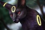  chiakiro face gen_2_pokemon no_humans pokemon pokemon_(creature) realistic red_eyes signature solo umbreon watermark web_address 