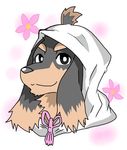  canine clothing cosplay dachshund dog dog_&amp;_scissors fate/grand_order feral fur hoodie kazuhito_harumi kemokemo2525_(artist) looking_at_viewer male mammal multicolored_fur smile solo solo_focus 