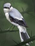  alradeck avian beak bird detailed_background digital_media_(artwork) feathered_wings feathers feral grey_beak solo wings 