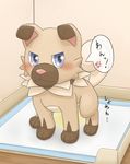  blue_eyes blush canine digital_media_(artwork) feral fur japanese_text looking_at_viewer male mammal manoreo nintendo peeing pok&eacute;mon pok&eacute;mon_(species) rockruff solo speech_bubble text translated urine video_games watersports 