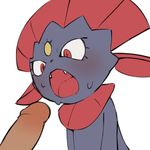  blush disembodied_penis erection fangs female hi_res looking_down male nintendo open_mouth penis pok&eacute;mon pok&eacute;mon_(species) red_eyes simple_background solo_focus sweat teeth upper_body video_games weavile white_background youjomodoki 