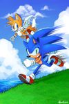  absurd_res anthro canine clothing duo english_text fox gloves hedgehog hi_res male mammal miles_prower sonebee sonic_(series) sonic_the_hedgehog text video_games 