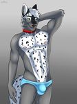  2018 5_fingers anthro athletic black_fur black_nose black_spots bulge canine cinta clothing collar fur green_eyes grey_background grey_fur hair hand_behind_head looking_aside male mammal multicolored_fur nipples pose ratchet_wolfe silver_hair simple_background smile solo spots standing two_tone_fur underwear white_fur white_hair wolf 