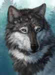  2018 ambiguous_gender black_fur black_nose blue_eyes canine digital_media_(artwork) feral fur grey_fur looking_at_viewer mammal solo whiskers wolf wolnir 