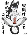  black_fur blue_eyes blush canine censored cum cum_on_penis cum_on_self dog erection feral fur japanese_text looking_at_viewer male mammal manoreo penis simple_background solo text white_background white_fur 