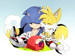  anthro canine clothing echidna eyes_closed food fox fruit gloves group hedgehog hi_res knuckles_the_echidna male mammal miles_prower monotreme smile sonic_(series) sonic_the_hedgehog unichrome-uni video_games 