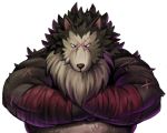  2011 canid canine canis lako male mammal overweight overweight_male rouen scar shining_(series) shining_force shining_wind simple_background video_games white_background wolf 